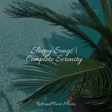 Looked After