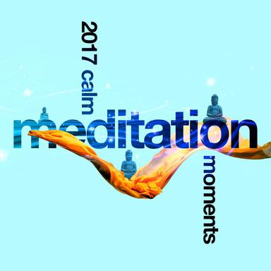 Contemplative Action