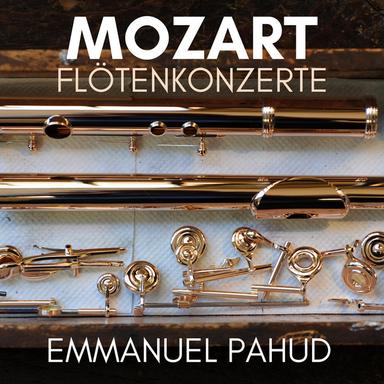 Flute Concerto No. 1 in G Major, K. 313: III. Rondo. Tempo di menuetto