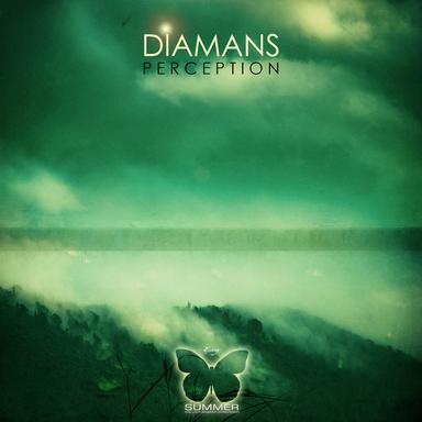 Perception