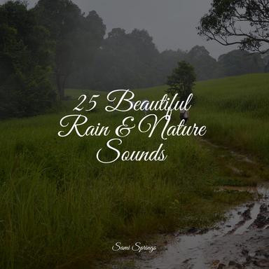 25 Beautiful Rain & Nature Sounds