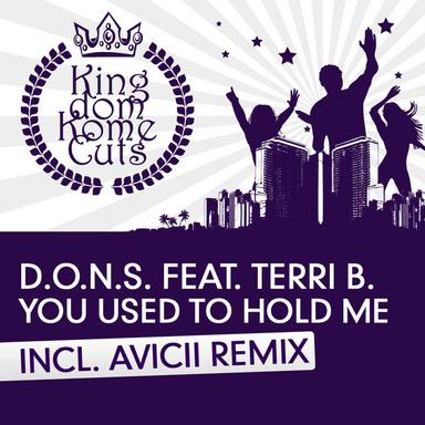 You Used to Hold Me - David Tort Remix