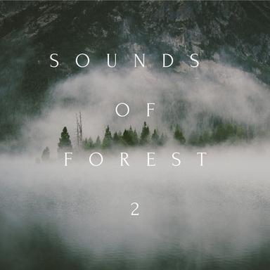 Smiling Flowers - Forest Version