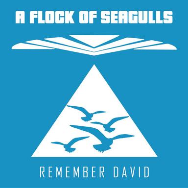 Remember David