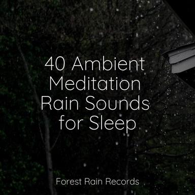 Jungle Rains