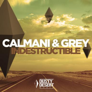 Indestructible - Crooper Mix Edit