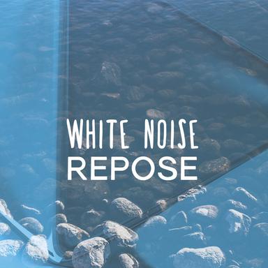 White Noise: Motion