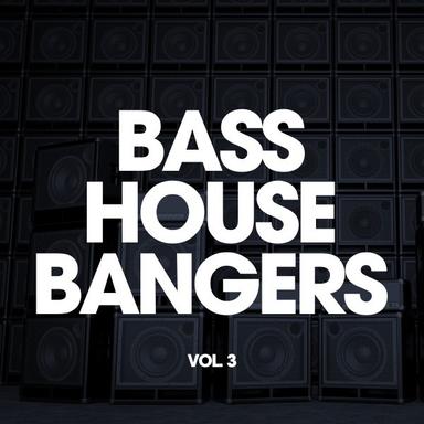 Hold the Bassline - Original Mix