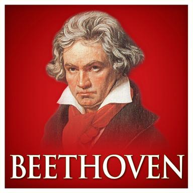 Rondo a Capriccio, Op. 129 "Rage Over a Lost Penny"