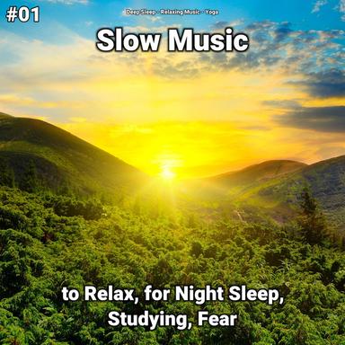 Mindfulness Therapy