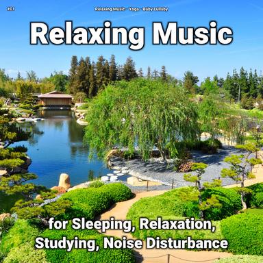 Gorgeous Soft Music