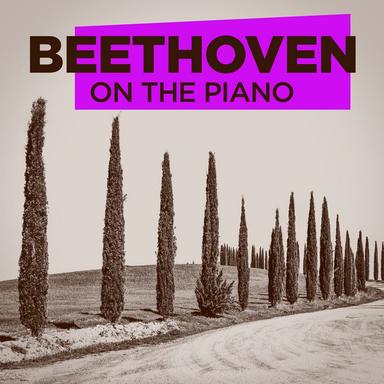 Piano Concerto No. 3 in C Minor, Op. 37: III. Rondo