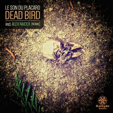 Dead Bird - Original Mix