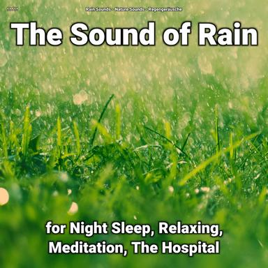 Ambient Soundscapes to Fall Asleep