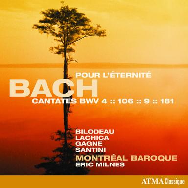 Gottes Zeit ist die allerbeste Zeit, BWV 106 "Actus Tragicus": No. 1, Sonatina