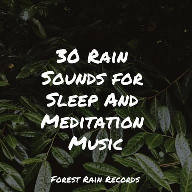 Forest, Birds, River Close