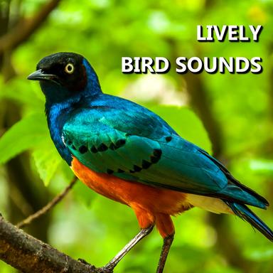 Depictive Bird Sounds