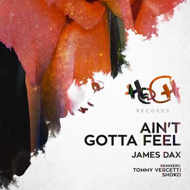 Ain't Gotta Feel - Tommy Vercetti Remix