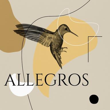Trumpet Concerto in E-Flat Major, Hob. VIIe:1: III. Finale, Allegro