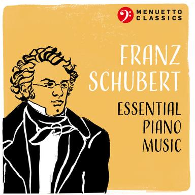 Piano Sonata No. 13 in A Major, D.664: II. Andante