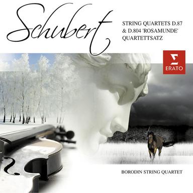 Schubert: String Quartet No. 13 in A Minor, Op. 29, D. 804 "Rosamunde": II. Andante