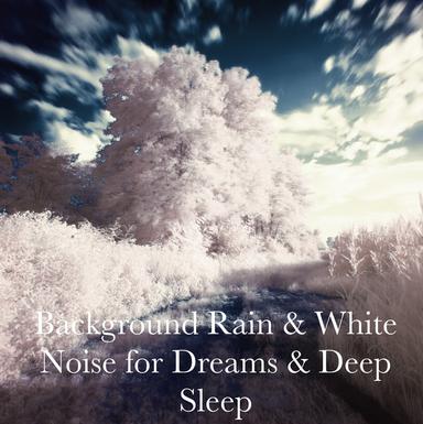 Rain Sounds - Concentrate