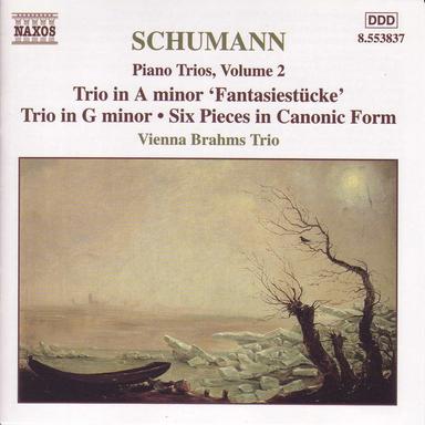Piano Trio No. 3 in G Minor, Op. 110: II. Ziemlich langsam