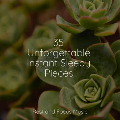 Peace of Mind Music