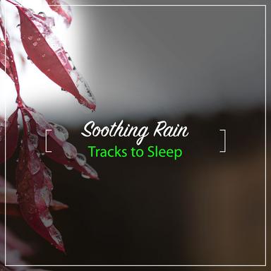 Rain Sound: Snooze Nap Time