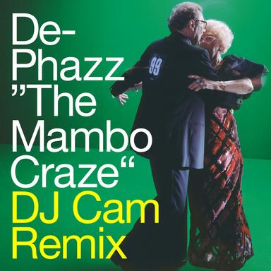 The Mambo Craze - DJ Cam Remix