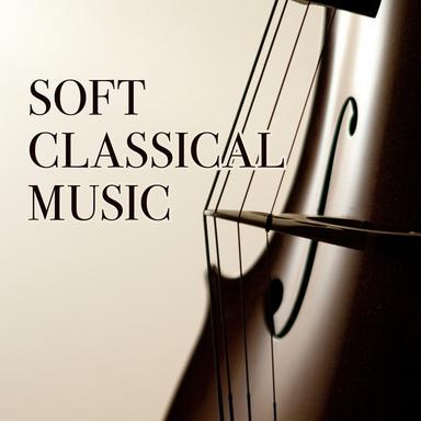 Concerto for Viola d'amore in D Minor, RV 393: II Adagio