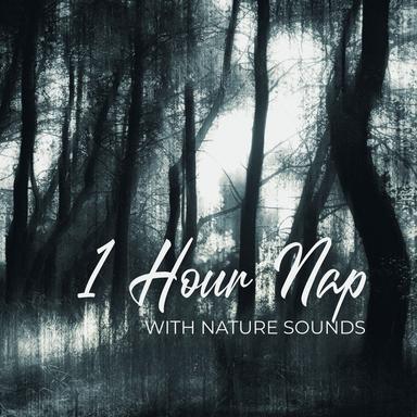 Bedtime Song