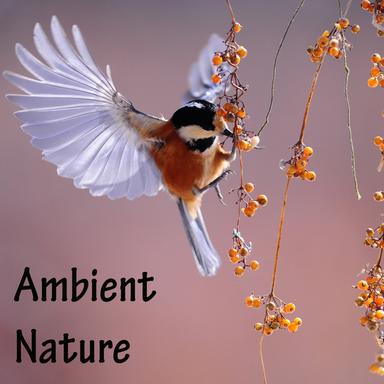 Calming Sounds for Baby Sleep
