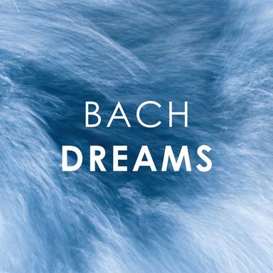 Orchestral Suite No. 2 in B Minor, BWV 1067: VI. Polonaise - VIa. Double