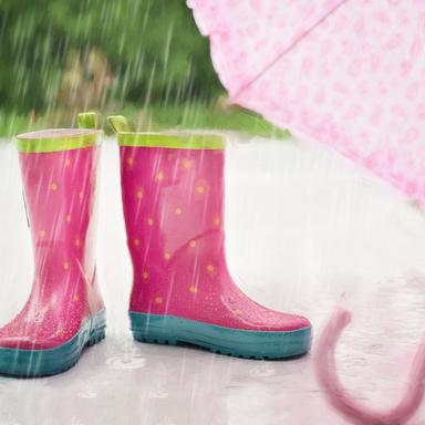 Jungle Rains