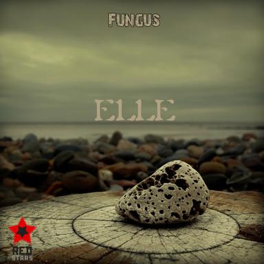 ELLE