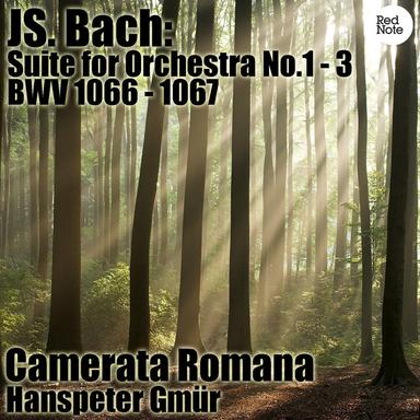 Suite For Orchestra No. 3 in D major, BWV 1068 : II. Air
