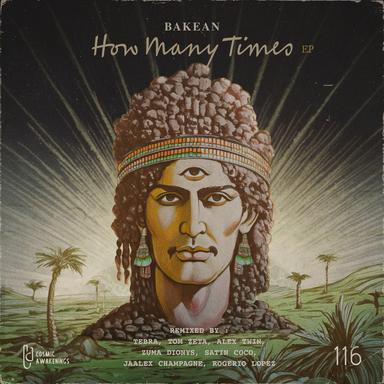 How Many Times - Tom Zeta Remix