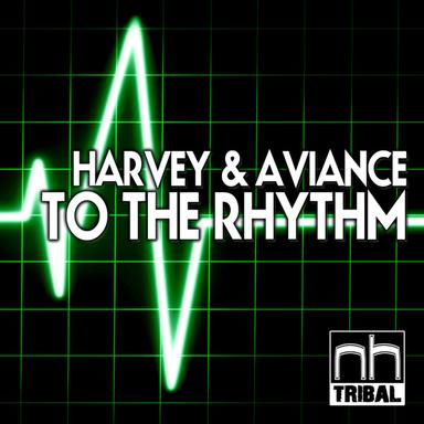 To The Rhythm - Scottapella