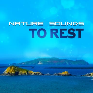 Mind Rest