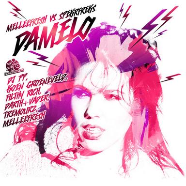 Damelo - DJ PP Mix