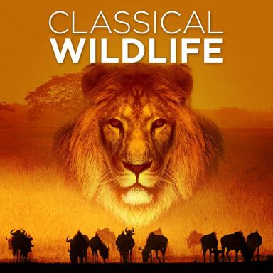 Le Carnaval des Animaux (The Carnival of Animals): VII. The Aquarium