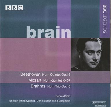 Horn Quintet in E-Flat Major, K. 407: II. Andante