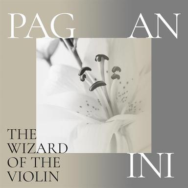 24 Caprices, Op. 1: No. 13, Caprice in B-Flat Major (Allegro)