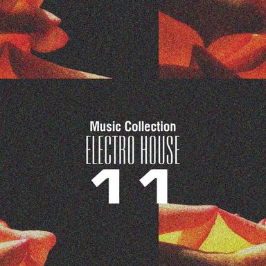 Music Collection. Electro House, Vol. 11