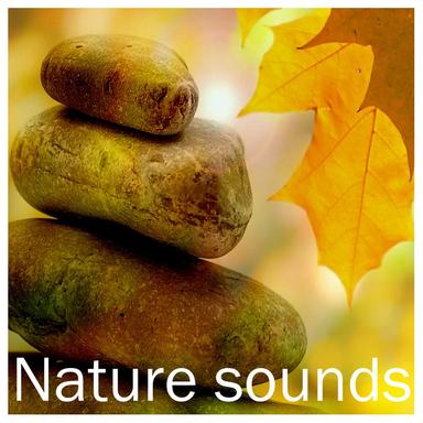 Rain Sound: Bedtime Relaxation