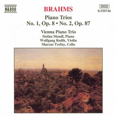 Piano Trio No. 1 in B Major, Op. 8: III. Adagio