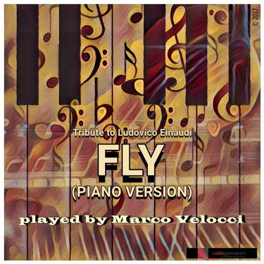 Fly