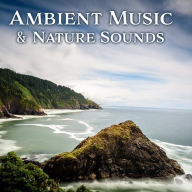 Soothing Waves