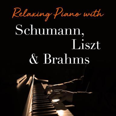 Fantasiestücke, Op. 12: I. Des Abends (In the Evening)